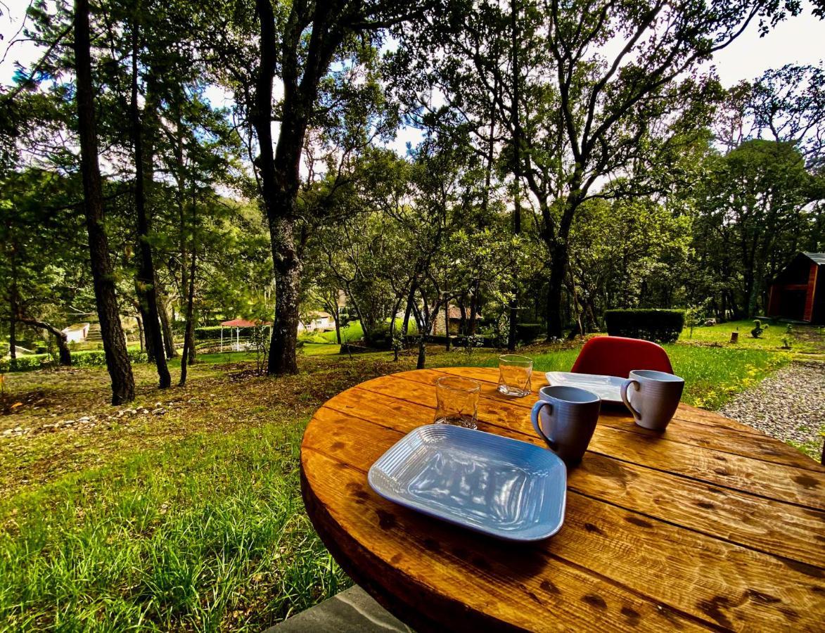 Luxury tent Casa Alfenique *