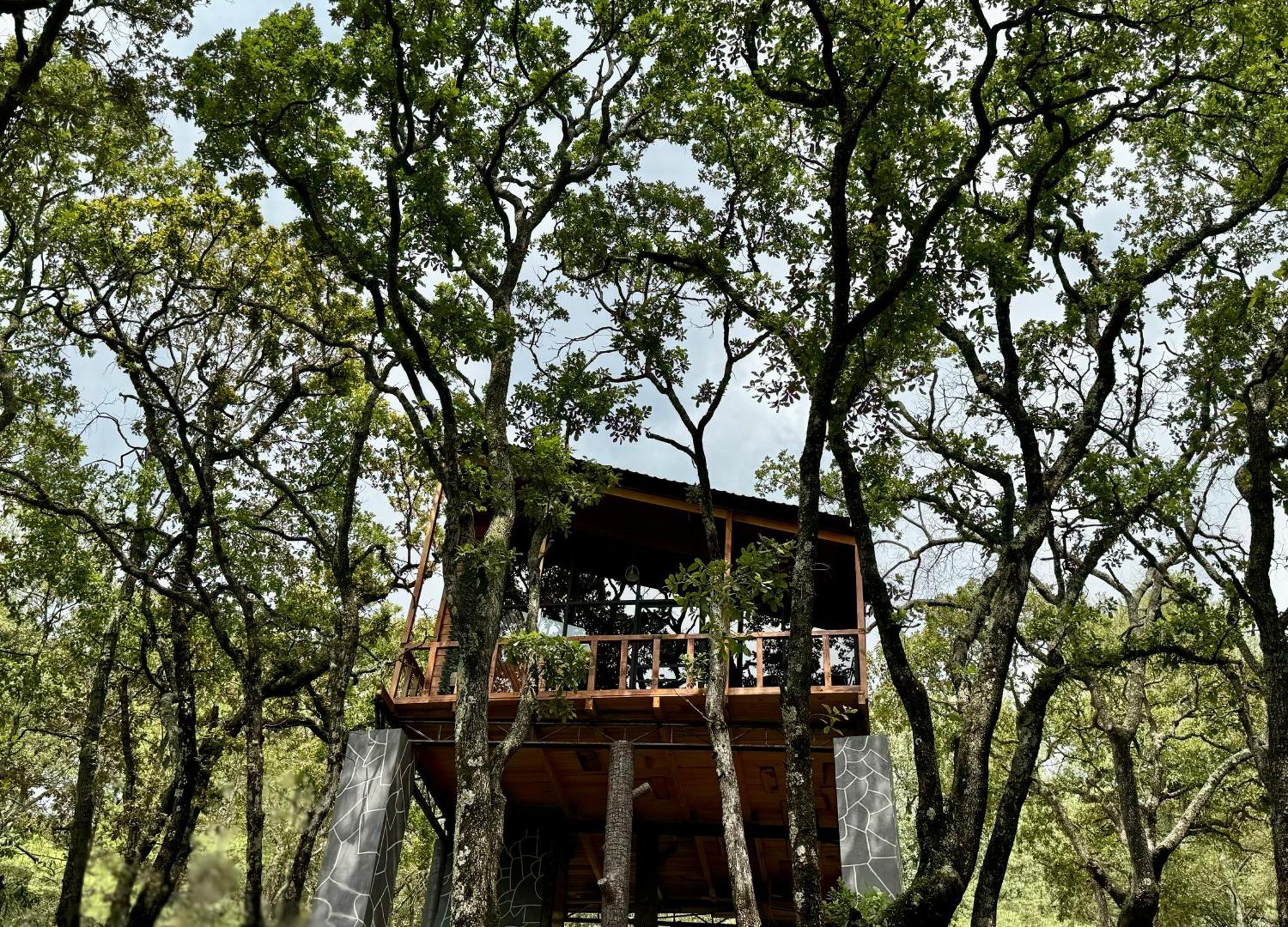 Casa Alfenique Luxury tent